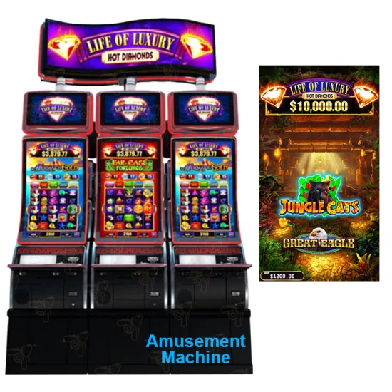 Экстремальное развлечение, хорошая продажа, вертикальная жизнь роскошного автомата для казино 2 в 1 шкафе игровой комнаты